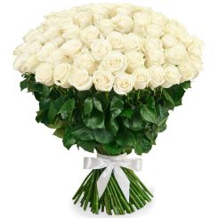 Возвышенная любовь букет из 101 белой розы
