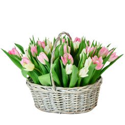 Букет из тюльпанов Весна в корзине