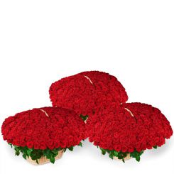 Красная вуаль букет в корзине из 1001 розы